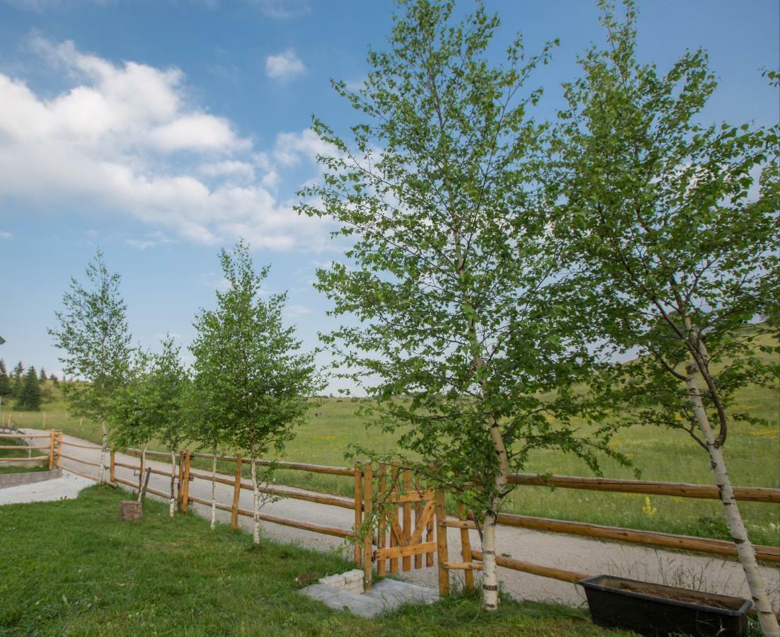 Guest House Sky Blue Zabljak  Exterior photo