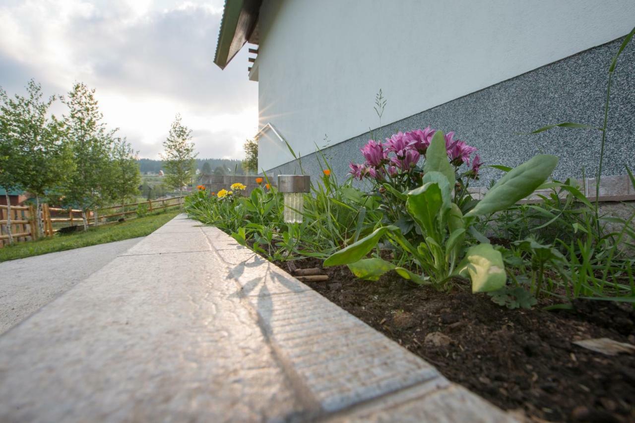 Guest House Sky Blue Zabljak  Exterior photo