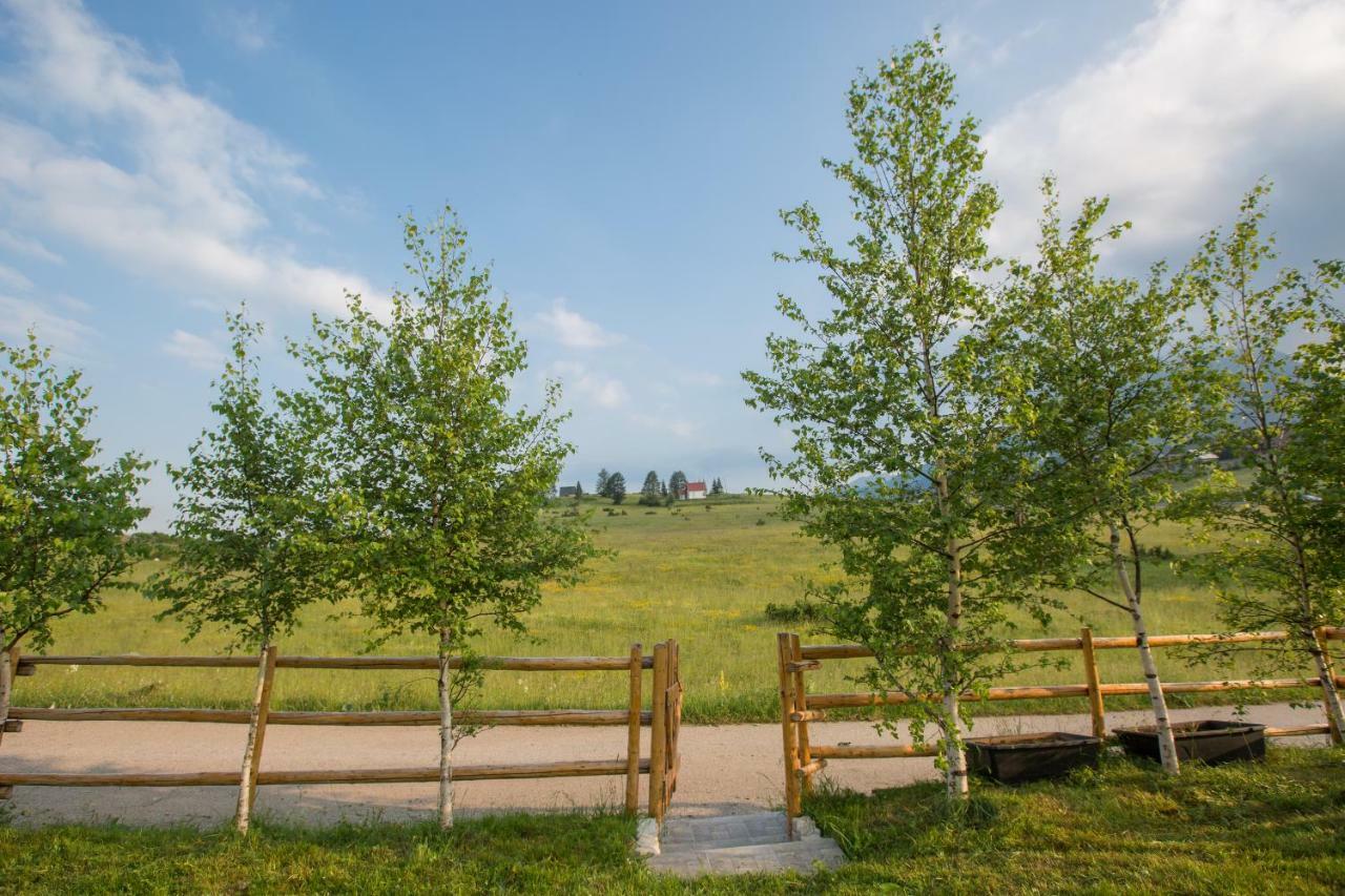 Guest House Sky Blue Zabljak  Exterior photo